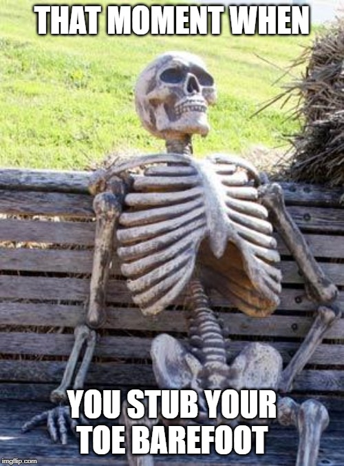 Waiting Skeleton Meme | THAT MOMENT WHEN; YOU STUB YOUR TOE BAREFOOT | image tagged in memes,waiting skeleton | made w/ Imgflip meme maker