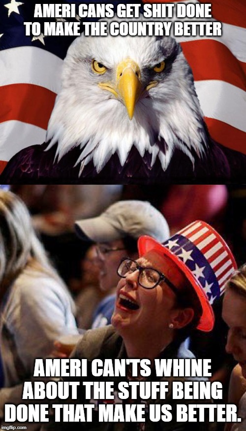 AMERI CANS GET SHIT DONE TO MAKE THE COUNTRY BETTER AMERI CAN'TS WHINE ABOUT THE STUFF BEING DONE THAT MAKE US BETTER. | image tagged in freedom eagle,crying democrat | made w/ Imgflip meme maker