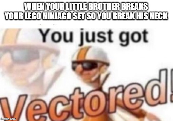You just got VECTORED | WHEN YOUR LITTLE BROTHER BREAKS YOUR LEGO NINJAGO SET SO YOU BREAK HIS NECK | image tagged in lol,you just got vectored,funny memes | made w/ Imgflip meme maker