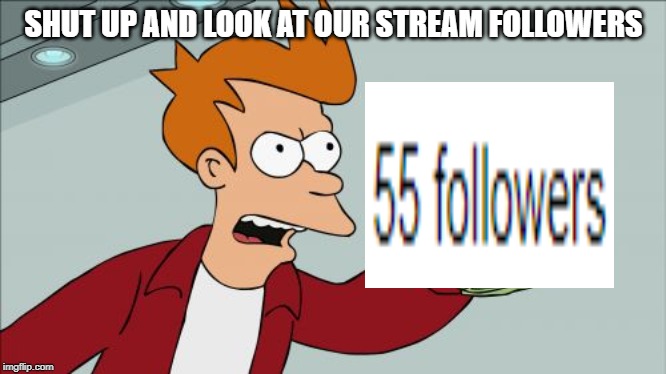 Shut Up And Take My Money Fry | SHUT UP AND LOOK AT OUR STREAM FOLLOWERS | image tagged in memes,shut up and take my money fry | made w/ Imgflip meme maker