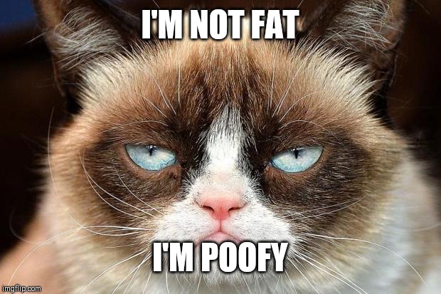 Grumpy Cat Not Amused | I'M NOT FAT; I'M POOFY | image tagged in memes,grumpy cat not amused,grumpy cat | made w/ Imgflip meme maker