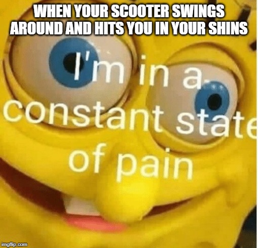I'm in a constant state of pain | WHEN YOUR SCOOTER SWINGS AROUND AND HITS YOU IN YOUR SHINS | image tagged in i'm in a constant state of pain | made w/ Imgflip meme maker