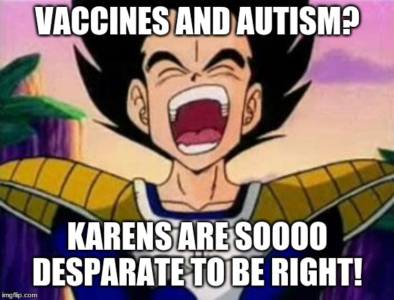 vegeta lol | VACCINES AND AUTISM? KARENS ARE SOOOO DESPARATE TO BE RIGHT! | image tagged in vegeta lol | made w/ Imgflip meme maker