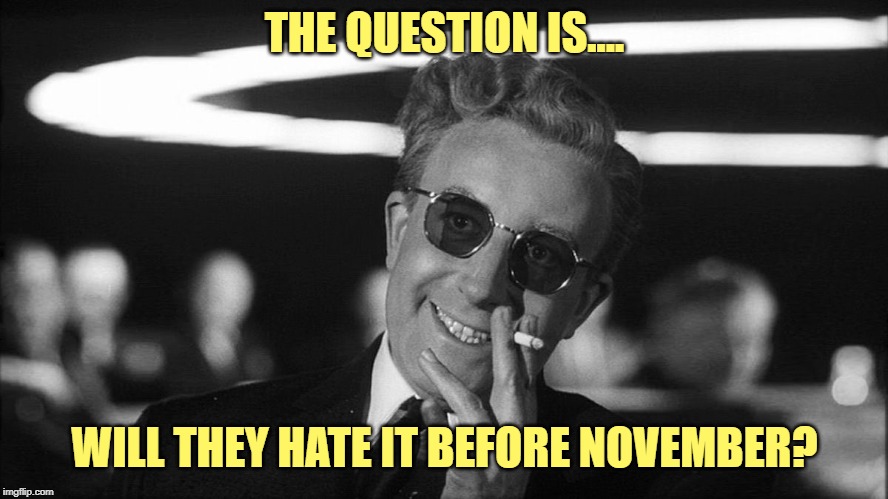 Doctor Strangelove says... | THE QUESTION IS.... WILL THEY HATE IT BEFORE NOVEMBER? | image tagged in doctor strangelove says | made w/ Imgflip meme maker