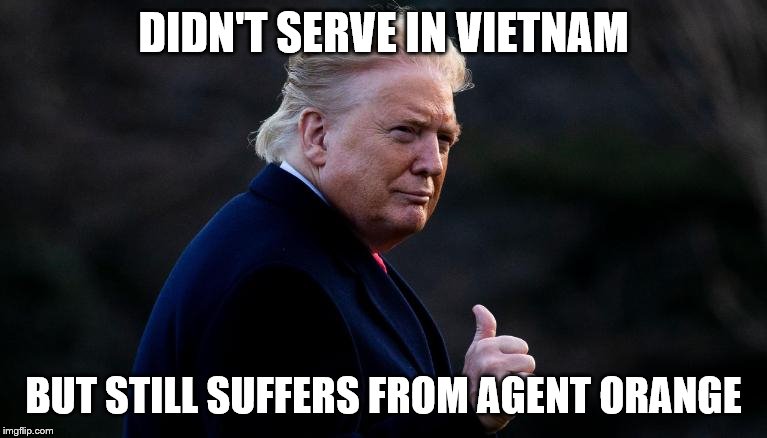 Agent Orange | DIDN'T SERVE IN VIETNAM; BUT STILL SUFFERS FROM AGENT ORANGE | image tagged in politics,donald trump | made w/ Imgflip meme maker