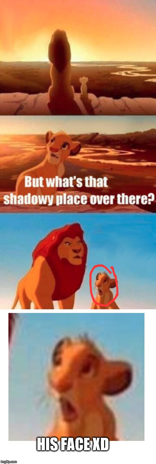 Simba Shadowy Place Meme | HIS FACE XD | image tagged in memes,simba shadowy place | made w/ Imgflip meme maker