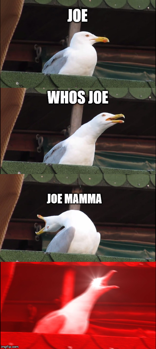 JOE WHOS JOE JOE MAMMA | image tagged in memes,inhaling seagull | made w/ Imgflip meme maker