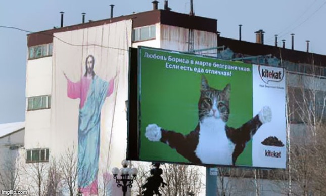 image tagged in cat,jesus | made w/ Imgflip meme maker