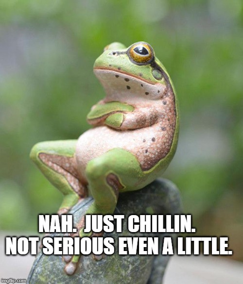nah frog | NAH.  JUST CHILLIN.  NOT SERIOUS EVEN A LITTLE. | image tagged in nah frog | made w/ Imgflip meme maker