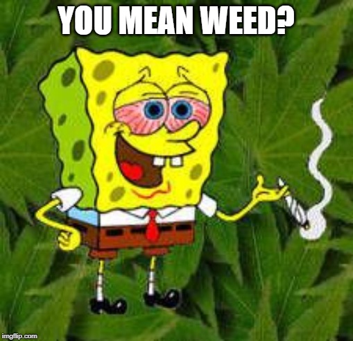 Weed | YOU MEAN WEED? | image tagged in weed | made w/ Imgflip meme maker