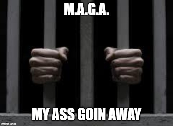 Jail | M.A.G.A. MY ASS GOIN AWAY | image tagged in jail | made w/ Imgflip meme maker