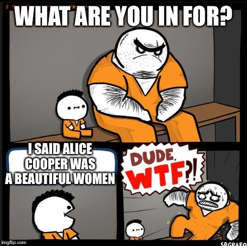Srgrafo dude wtf | WHAT ARE YOU IN FOR? I SAID ALICE COOPER WAS A BEAUTIFUL WOMEN | image tagged in srgrafo dude wtf | made w/ Imgflip meme maker