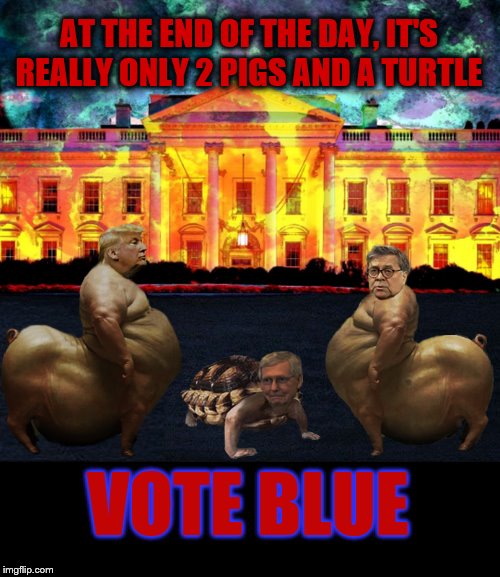 Delousing the White House | AT THE END OF THE DAY, IT'S REALLY ONLY 2 PIGS AND A TURTLE; VOTE BLUE | image tagged in attorney general,donald trump,mitch mcconnell,trump is a moron | made w/ Imgflip meme maker