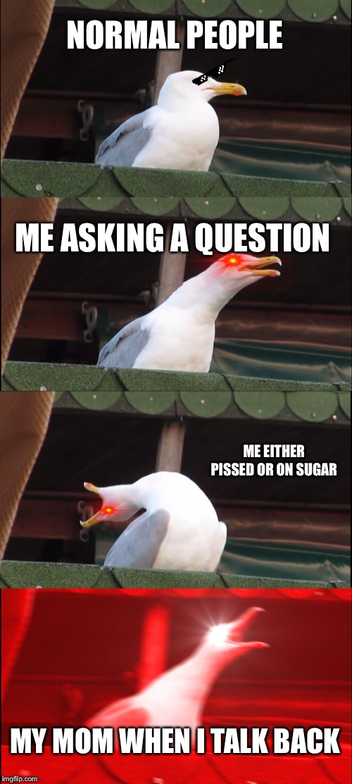 Inhaling Seagull | NORMAL PEOPLE; ME ASKING A QUESTION; ME EITHER PISSED OR ON SUGAR; MY MOM WHEN I TALK BACK | image tagged in memes,inhaling seagull | made w/ Imgflip meme maker