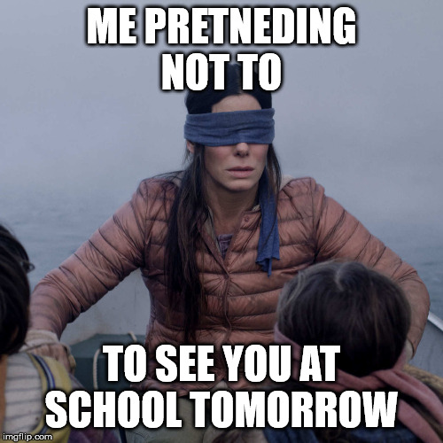 Bird Box | ME PRETNEDING
NOT TO; TO SEE YOU AT SCHOOL TOMORROW | image tagged in memes,bird box | made w/ Imgflip meme maker