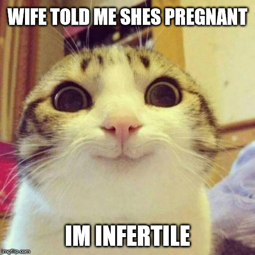 Smiling Cat | WIFE TOLD ME SHES PREGNANT; IM INFERTILE | image tagged in memes,smiling cat | made w/ Imgflip meme maker