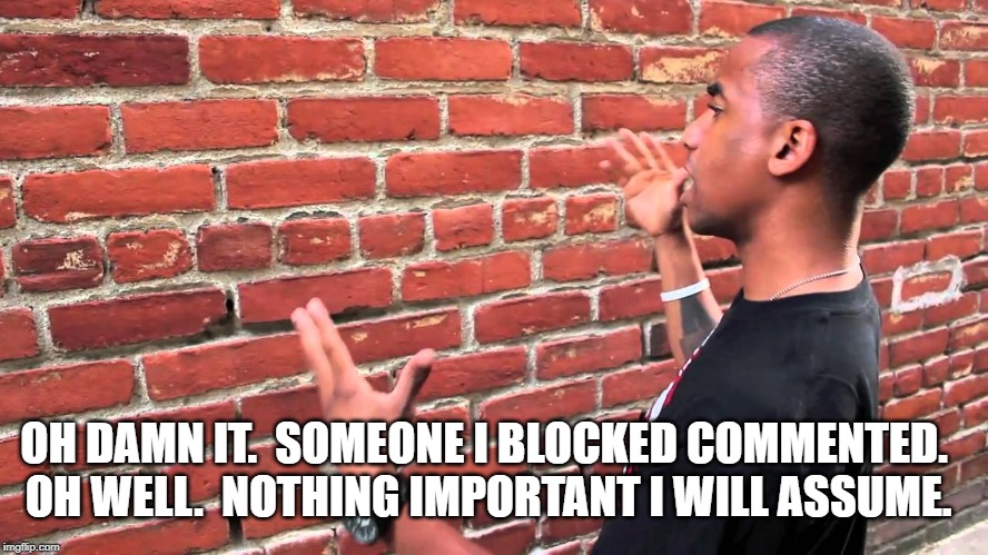 Talking to wall | OH DAMN IT.  SOMEONE I BLOCKED COMMENTED.  OH WELL.  NOTHING IMPORTANT I WILL ASSUME. | image tagged in talking to wall | made w/ Imgflip meme maker