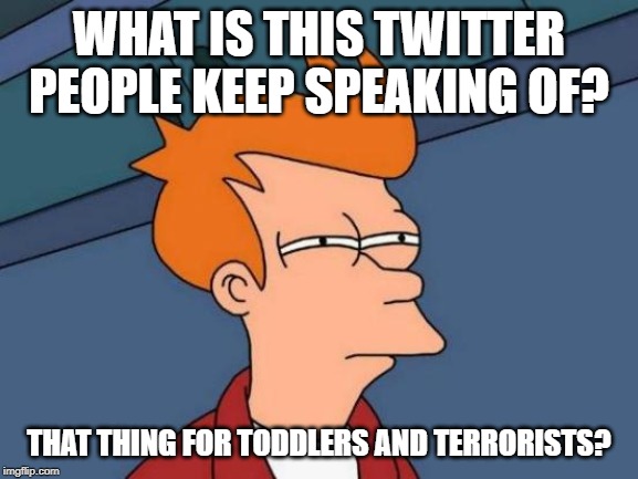 Futurama Fry Meme | WHAT IS THIS TWITTER PEOPLE KEEP SPEAKING OF? THAT THING FOR TODDLERS AND TERRORISTS? | image tagged in memes,futurama fry | made w/ Imgflip meme maker