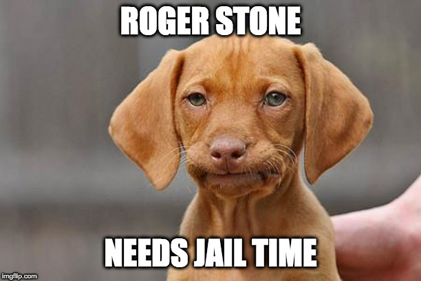 Dissapointed puppy | ROGER STONE; NEEDS JAIL TIME | image tagged in dissapointed puppy | made w/ Imgflip meme maker