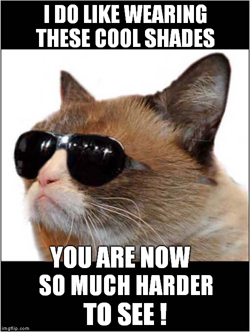 Grumpy Loves Cool Shades | I DO LIKE WEARING THESE COOL SHADES; SO MUCH HARDER; YOU ARE NOW; TO SEE ! | image tagged in fun,grumpy cat,cool shades | made w/ Imgflip meme maker