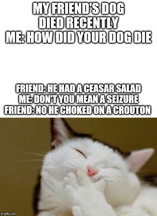 MY FRIEND'S DOG DIED RECENTLY
ME: HOW DID YOUR DOG DIE; FRIEND: HE HAD A CEASAR SALAD
ME: DON'T YOU MEAN A SEIZURE
FRIEND: NO HE CHOKED ON A CROUTON | image tagged in blank white template,cat laughing | made w/ Imgflip meme maker