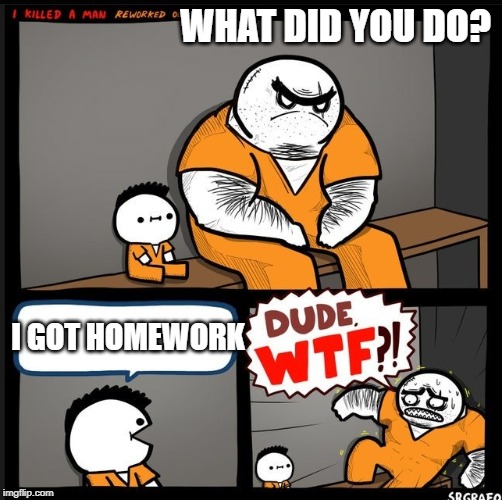 Srgrafo dude wtf | WHAT DID YOU DO? I GOT HOMEWORK | image tagged in srgrafo dude wtf | made w/ Imgflip meme maker