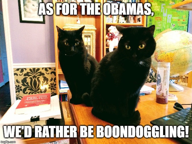 AS FOR THE OBAMAS, WE'D RATHER BE BOONDOGGLING! | image tagged in cats,black cats | made w/ Imgflip meme maker