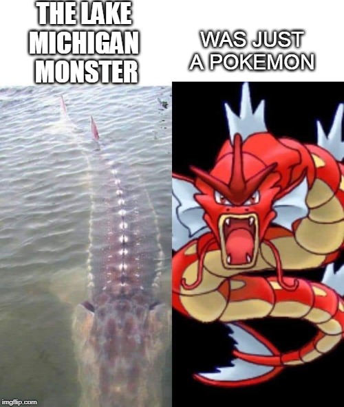 THE LAKE 
MICHIGAN 
MONSTER; WAS JUST A POKEMON | image tagged in memes,pokemon,lake,monster | made w/ Imgflip meme maker