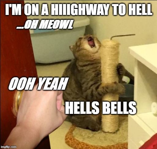 CAT crazy | I'M ON A HIIIGHWAY TO HELL; ...OH MEOWL; OOH YEAH; HELLS BELLS | image tagged in cat crazy | made w/ Imgflip meme maker