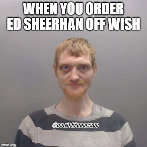 Ed Sheeran | WHEN YOU ORDER ED SHEERHAN OFF WISH; @patrickisasavage | image tagged in wish,ed sheeran,funny,jail,meth head | made w/ Imgflip meme maker