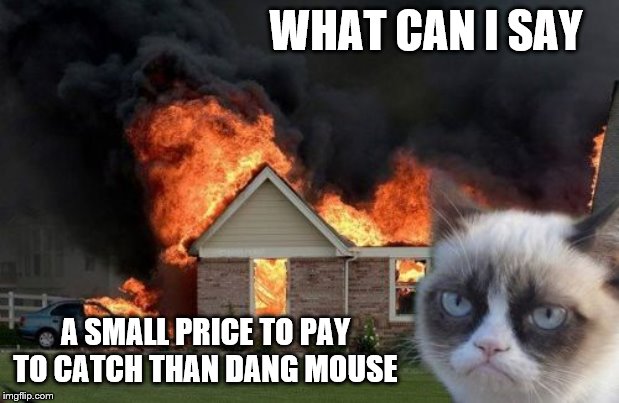 Burn Kitty | WHAT CAN I SAY; A SMALL PRICE TO PAY TO CATCH THAN DANG MOUSE | image tagged in memes,burn kitty,grumpy cat | made w/ Imgflip meme maker