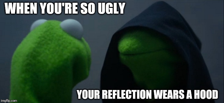 Evil Kermit Meme | WHEN YOU'RE SO UGLY; YOUR REFLECTION WEARS A HOOD | image tagged in memes,evil kermit | made w/ Imgflip meme maker