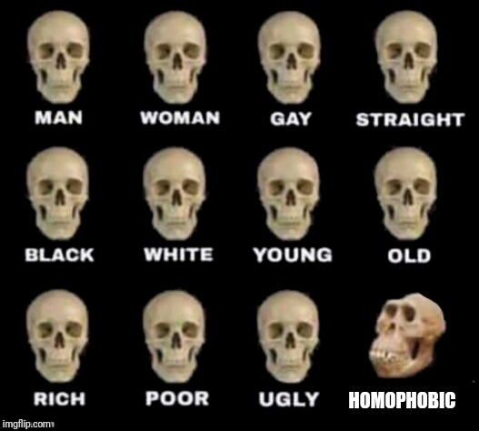 idiot skull | HOMOPHOBIC | image tagged in idiot skull | made w/ Imgflip meme maker