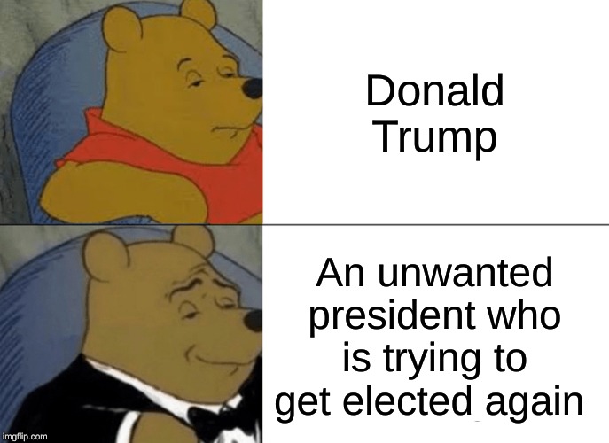 Tuxedo Winnie The Pooh Meme | Donald Trump; An unwanted president who is trying to get elected again | image tagged in memes,tuxedo winnie the pooh | made w/ Imgflip meme maker