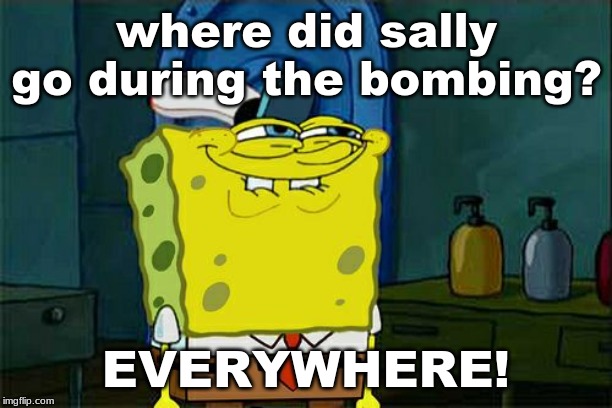 Don't You Squidward | where did sally go during the bombing? EVERYWHERE! | image tagged in memes,dont you squidward | made w/ Imgflip meme maker