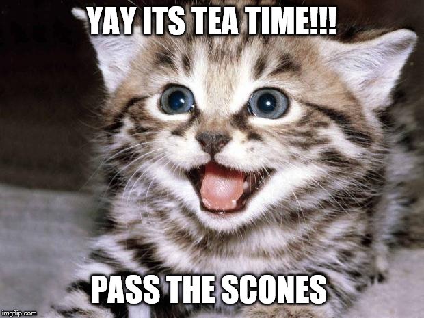 Uber Cute Cat | YAY ITS TEA TIME!!! PASS THE SCONES | image tagged in uber cute cat | made w/ Imgflip meme maker