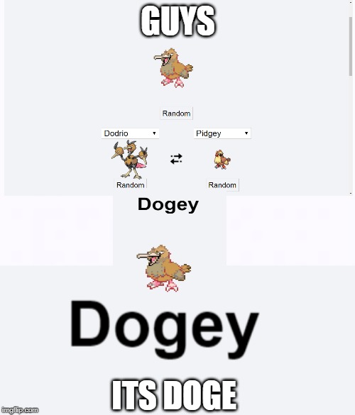 guys it doge | GUYS; ITS DOGE | image tagged in pokemon fusion,doge | made w/ Imgflip meme maker