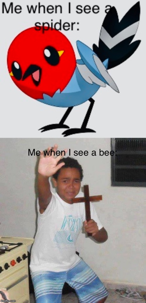 Probably the most accurate thing ever | image tagged in fletchling,pokemon,kid with cross | made w/ Imgflip meme maker