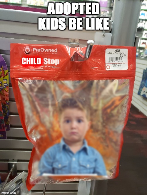 made this without realizing i was even making it | ADOPTED KIDS BE LIKE | image tagged in adoption,adopted,funny,funny memes,memes,children | made w/ Imgflip meme maker