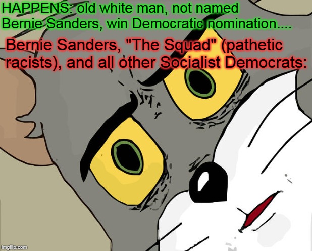 Can You Imagine How Dumb the Things AOC Would Say Would Be??? | HAPPENS: old white man, not named Bernie Sanders, win Democratic nomination.... Bernie Sanders, "The Squad" (pathetic racists), and all other Socialist Democrats: | image tagged in white man,bernie sanders,squad,socialism | made w/ Imgflip meme maker