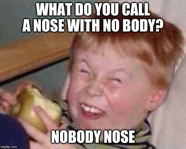 WHAT DO YOU CALL A NOSE WITH NO BODY? NOBODY NOSE | image tagged in funny,bad pun,silly,funny face kid,puns | made w/ Imgflip meme maker