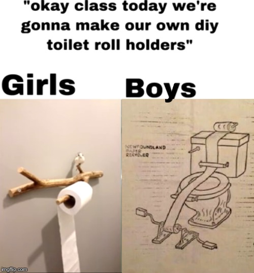 y | image tagged in toilet roll,teacher,girls vs boys | made w/ Imgflip meme maker