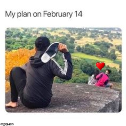 my valentines day plan | image tagged in single | made w/ Imgflip meme maker