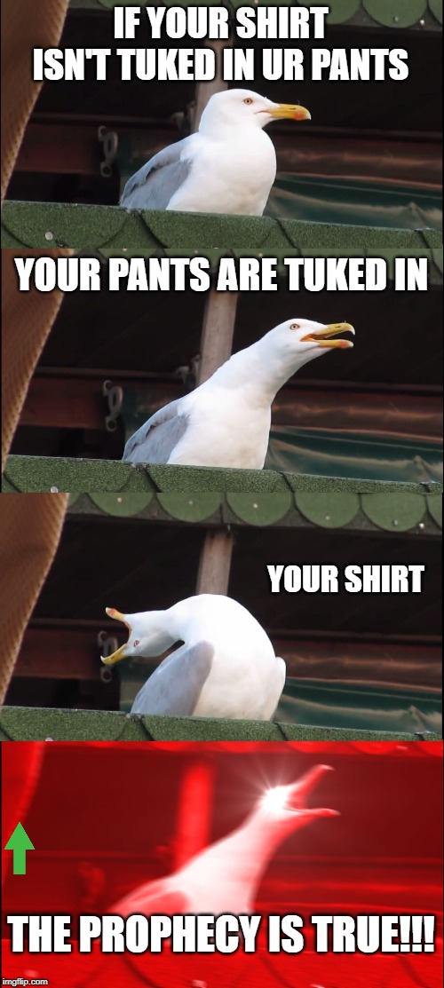 Inhaling Seagull | IF YOUR SHIRT ISN'T TUKED IN UR PANTS; YOUR PANTS ARE TUKED IN; YOUR SHIRT; THE PROPHECY IS TRUE!!! | image tagged in memes,inhaling seagull | made w/ Imgflip meme maker