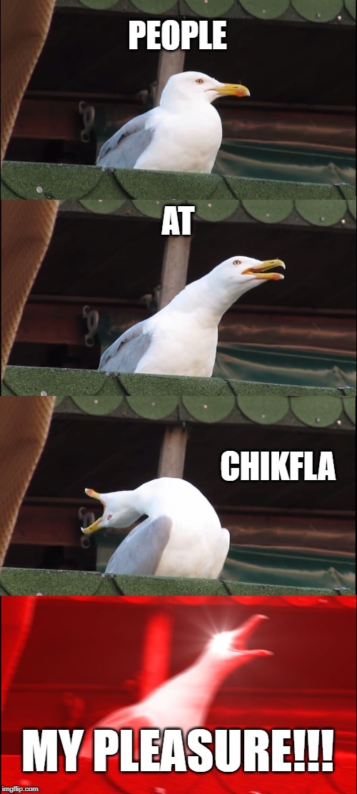 Inhaling Seagull | PEOPLE; AT; CHIKFLA; MY PLEASURE!!! | image tagged in memes,inhaling seagull | made w/ Imgflip meme maker