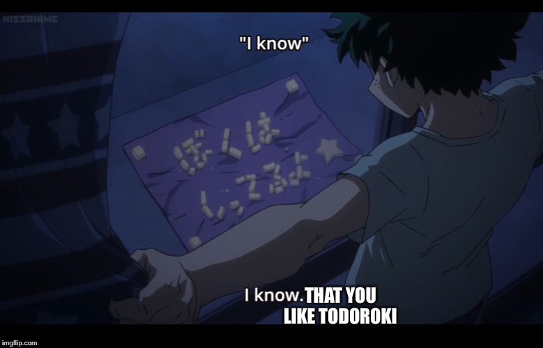 I KNOW | THAT YOU LIKE TODOROKI | image tagged in deku,tododeku | made w/ Imgflip meme maker