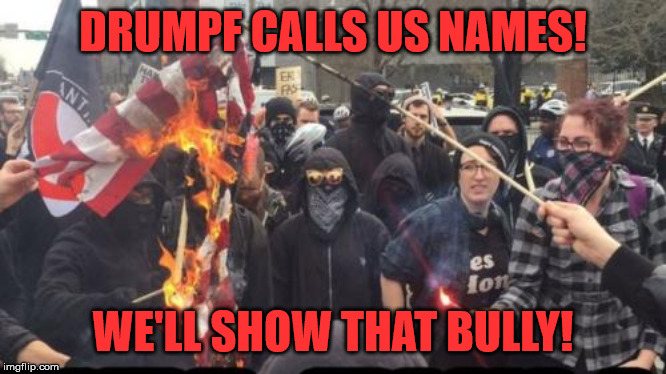 Antifa Democrat Leftist Terrorist | DRUMPF CALLS US NAMES! WE'LL SHOW THAT BULLY! | image tagged in antifa democrat leftist terrorist | made w/ Imgflip meme maker