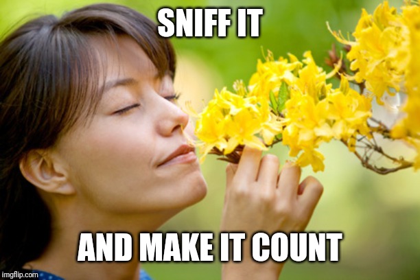 SNIFF IT; AND MAKE IT COUNT | image tagged in funny,memes,hilarious,humor,funny memes,funnymemes | made w/ Imgflip meme maker