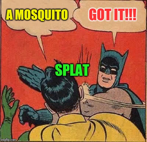 Batman Slapping Robin | A MOSQUITO; GOT IT!!! SPLAT | image tagged in memes,batman slapping robin | made w/ Imgflip meme maker