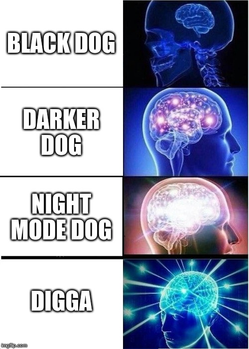 Expanding Brain Meme | BLACK DOG; DARKER DOG; NIGHT MODE DOG; DIGGA | image tagged in memes,expanding brain | made w/ Imgflip meme maker